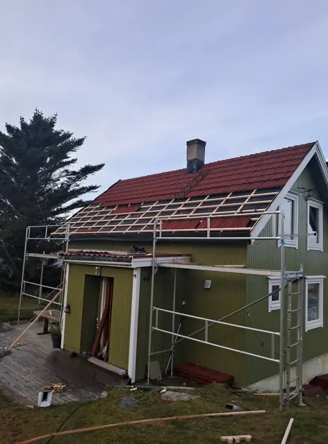 Ant žalio namo montuojama raudona stogo danga